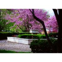 Westminster Presbyterian Church - Springfield, Illinois